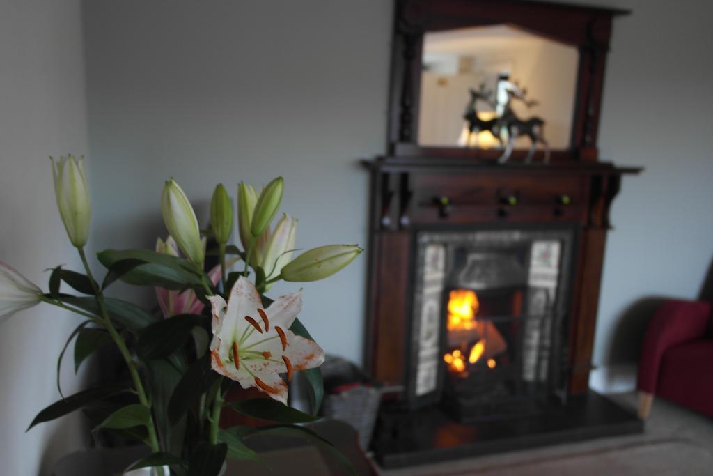 Hazelwood Lodge Ballyvaughan Eksteriør bilde